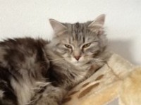 /album/fotogallerij/getattachment-jpeg3/